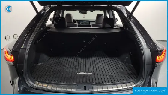 LEXUS RX LUXURY