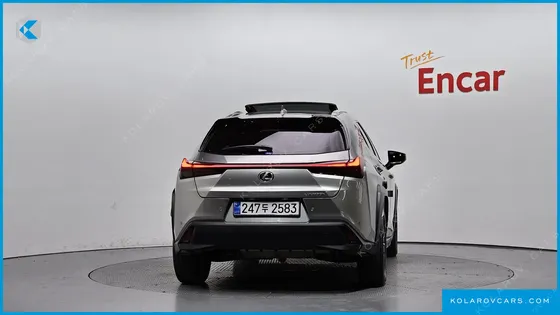 LEXUS UX 2.0 2WD