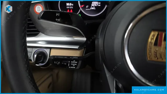 PORSCHE PANAMERA 2.9 AWD PLATINUM EDITION