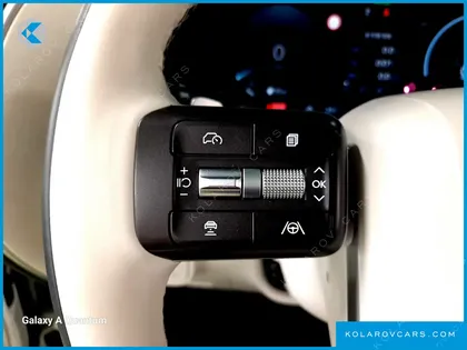 HYUNDAI PALISADE GASOLINE 2.5T 4WD 9-SEATER