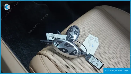 HYUNDAI GRANDEUR CALLIGRAPHY