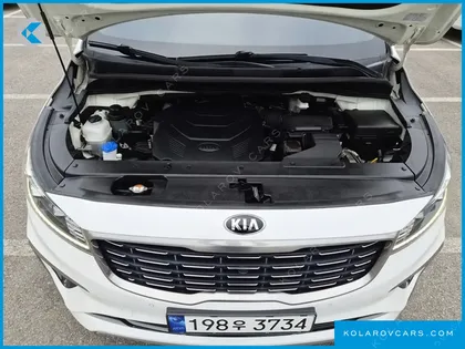 KIA CARNIVAL GASOLINE 9-SEATER NOBLESSE SPECIAL