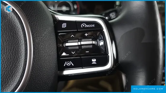 KIA CARNIVAL 9-SEATER HI-LIMOUSINE(SPECIAL VEHICLE)