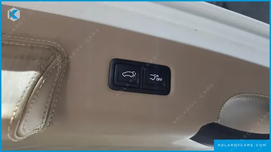 KIA CARNIVAL 9-SEATER HI-LIMOUSINE(SPECIAL VEHICLE)