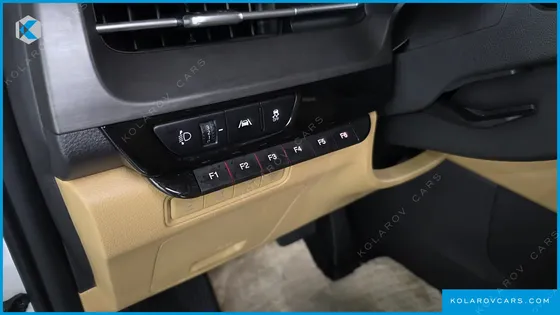 KIA CARNIVAL 9-SEATER HI-LIMOUSINE(SPECIAL VEHICLE)