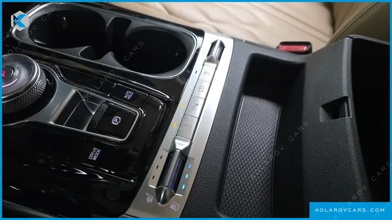 KIA CARNIVAL 9-SEATER HI-LIMOUSINE(SPECIAL VEHICLE)