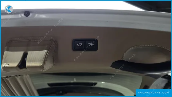 KIA CARNIVAL 9-SEATER HI-LIMOUSINE(SPECIAL VEHICLE)