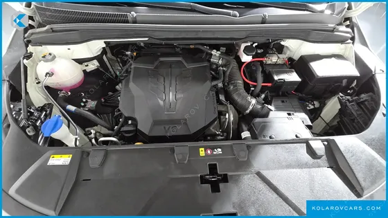 KIA CARNIVAL GASOLINE 9-SEATER LIMOUSINE(SPECIAL VEHICLE)