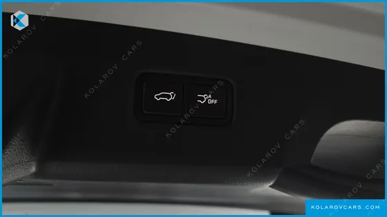 KIA CARNIVAL GASOLINE 9-SEATER LIMOUSINE(SPECIAL VEHICLE)
