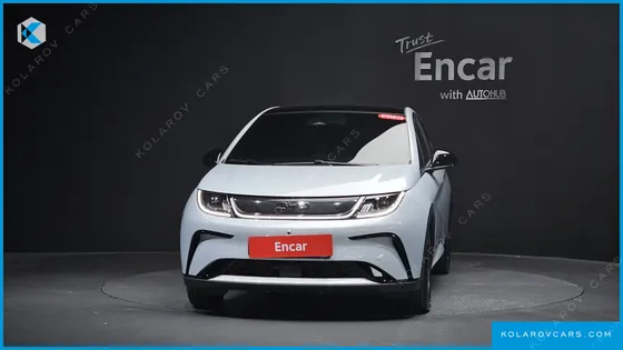 BYD DOLPHIN BASE