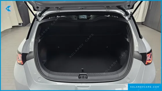 BYD DOLPHIN BASE