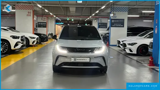 BYD DOLPHIN BASE