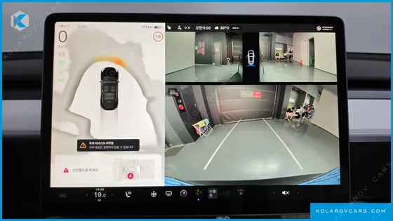 TESLA MODEL Y RWD
