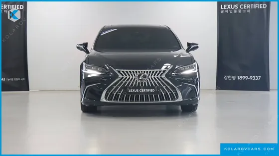 LEXUS ES EXECUTIVE