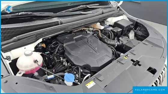 KIA CARNIVAL GASOLINE 7-SEATER HI-LIMOUSINE