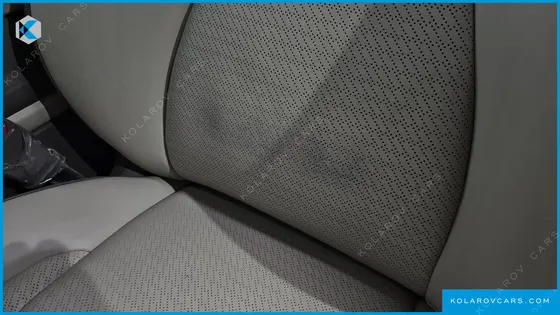 KIA CARNIVAL GASOLINE 7-SEATER HI-LIMOUSINE