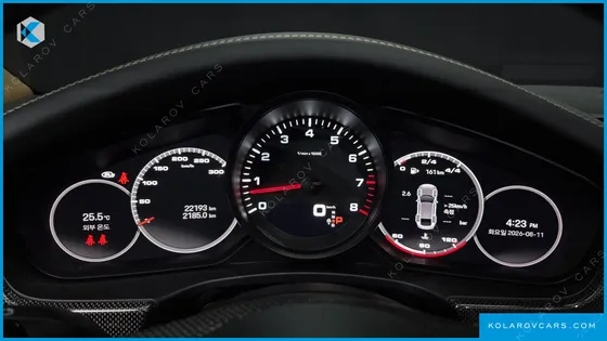 PORSCHE PANAMERA 2.9 AWD PLATINUM EDITION