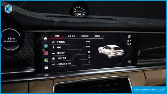PORSCHE PANAMERA 2.9 AWD PLATINUM EDITION