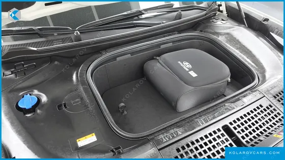 HYUNDAI IONIQ 9 CRUISE TYPE 2WD