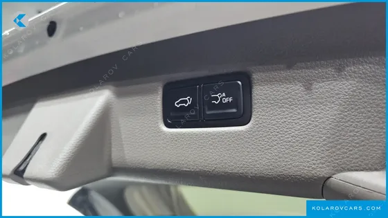 KIA CARNIVAL 9-SEATER HI-LIMOUSINE