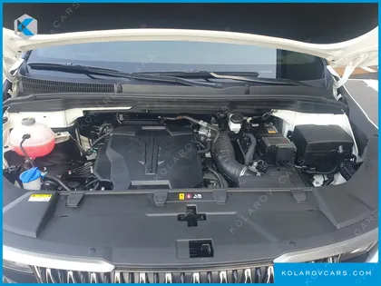 KIA CARNIVAL GASOLINE 9-SEATER HI-LIMOUSINE