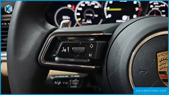 PORSCHE PANAMERA 2.9 AWD E-HYBRID PLATINUM EDITION