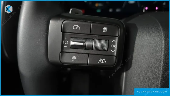 HYUNDAI PALISADE GASOLINE 2.5T 4WD 9-SEATER