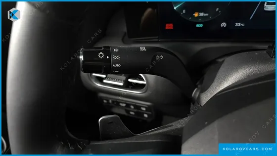HYUNDAI PALISADE GASOLINE 2.5T 4WD 9-SEATER