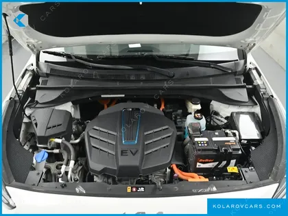 KIA NIRO EARTH