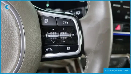 KIA CARNIVAL GASOLINE 9-SEATER HI LIMOUSINE (7-SEATER LIMOUSINE(SPECIAL VEHICLE)