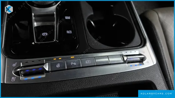 KIA CARNIVAL GASOLINE 9-SEATER NOBLESSE
