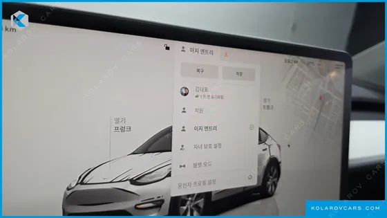 TESLA MODEL Y LONG RANGE AWD