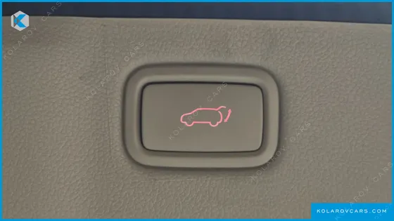 KIA CARNIVAL GASOLINE 9-SEATER HI-LIMOUSINE