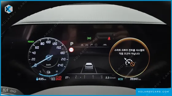 KIA NIRO EARTH