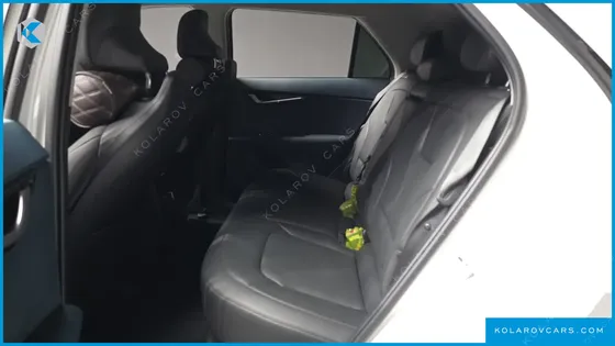 KIA NIRO EARTH
