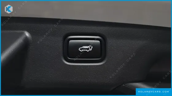 KIA NIRO EARTH