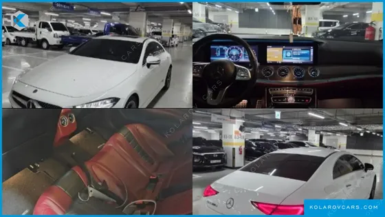 MERCEDES CLS-CLASS CLS300D AMG LINE