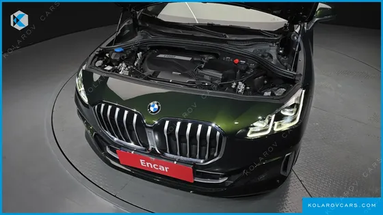 BMW 2 SERIES 218D LUXURY