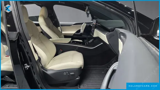 TESLA MODEL X PLAID