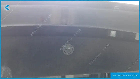 TESLA MODEL X PLAID