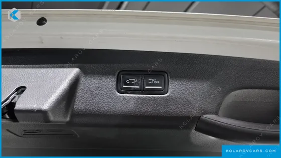 KIA CARNIVAL 9-SEATER NOBLESSE