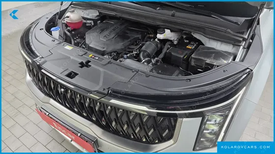 KIA CARNIVAL 9-SEATER SIGNATURE