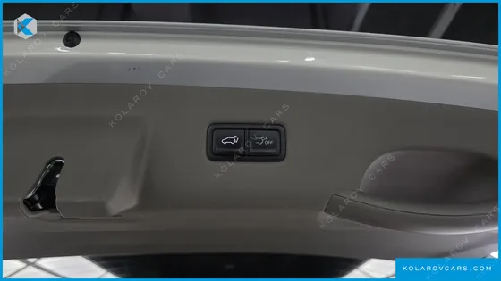 KIA CARNIVAL 9-SEATER SIGNATURE
