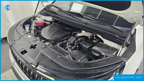KIA CARNIVAL 7-SEATER OUTDOOR