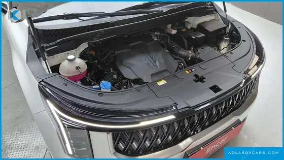 KIA CARNIVAL GASOLINE 9-SEATER NOBLESSE