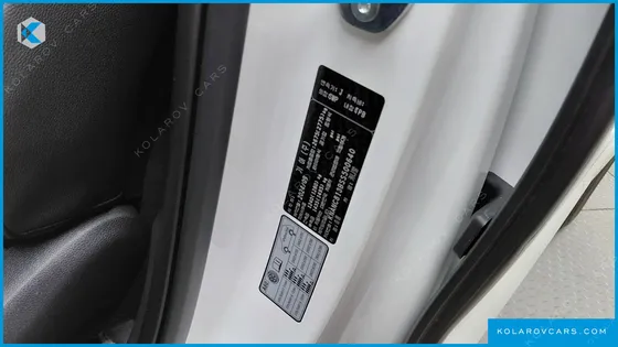 KIA CARNIVAL GASOLINE 9-SEATER NOBLESSE