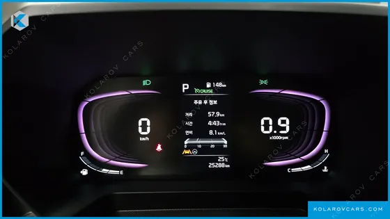 KIA RAY SIGNATURE