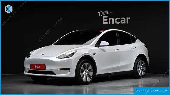 TESLA MODEL Y LONG RANGE AWD