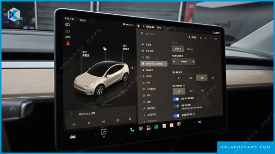 TESLA MODEL Y LONG RANGE AWD