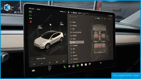 TESLA MODEL Y LONG RANGE AWD